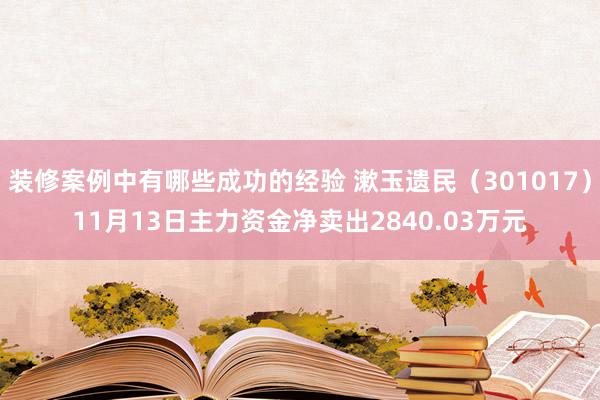 装修案例中有哪些成功的经验 漱玉遗民（301017）11月13日主力资金净卖出2840.03万元