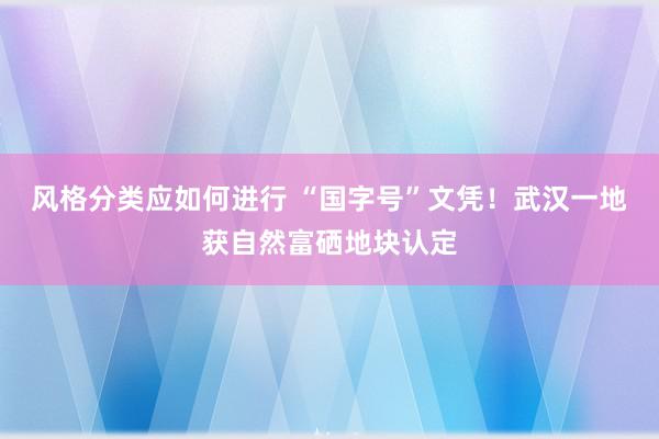 风格分类应如何进行 “国字号”文凭！武汉一地获自然富硒地块认定