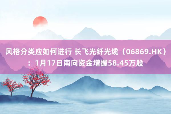 风格分类应如何进行 长飞光纤光缆（06869.HK）：1月17日南向资金增握58.45万股