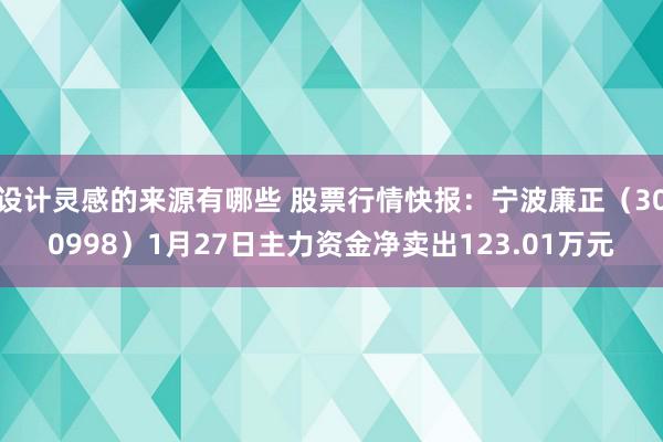 设计灵感的来源有哪些 股票行情快报：宁波廉正（300998）1月27日主力资金净卖出123.01万元