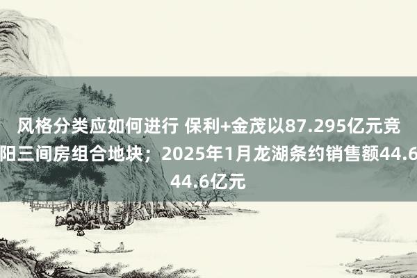 风格分类应如何进行 保利+金茂以87.295亿元竞得向阳三间房组合地块；2025年1月龙湖条约销售额44.6亿元