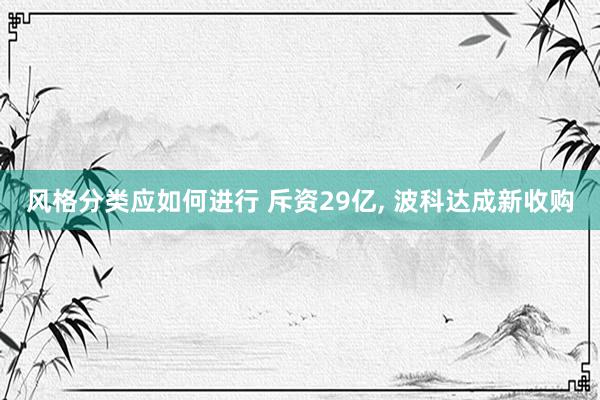 风格分类应如何进行 斥资29亿, 波科达成新收购